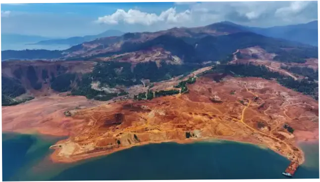 Deforestasi Indonesia Meningkat dan Berpotensi Juara Tropis Dunia dalam Setahun Pemerintahan Prabowo