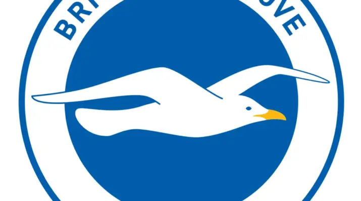 Brighton & Hove Albion W.F.C. vs Manchester City W.F.C.: Pertarungan Sengit di Puncak Klasemen