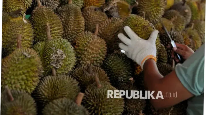 China dalam Perspektif Ekonomi dan Politik: Dari Ekspor Durian hingga Investasi