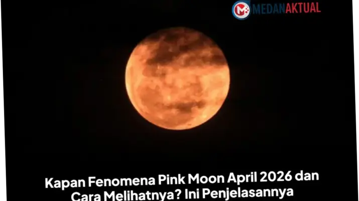 Fenomena Pink Moon April 2026: Waktu, Cara Melihat, dan Fakta Menarik