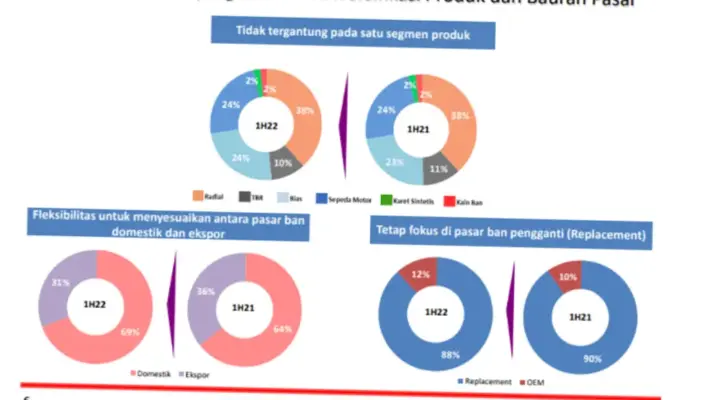 Gajah Tunggal: Kinerja Keuangan yang Meningkat dan Prospek yang Cerah
