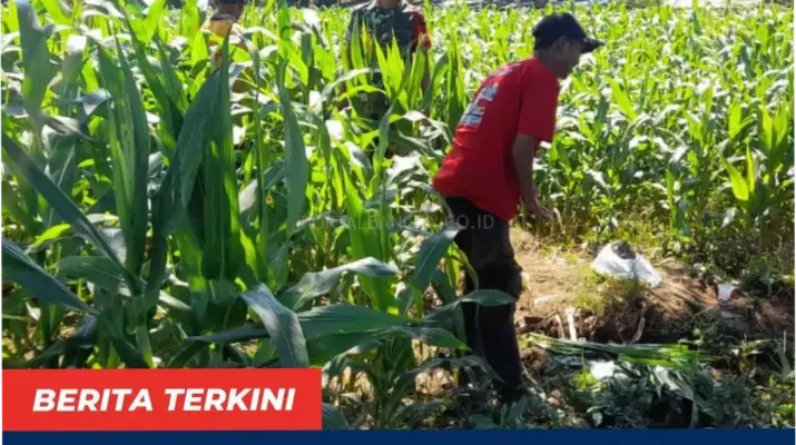 Peran Penting Babinsa Serda dalam Masyarakat: Meningkatkan Keamanan dan Kondusifitas