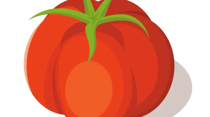 Rotten Tomatoes: Platform Terkemuka untuk Menilai Kualitas Film