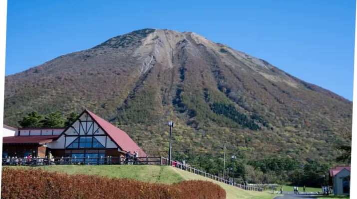 Gainare Tottori: Perjalanan Menuju Puncak Liga Jepang