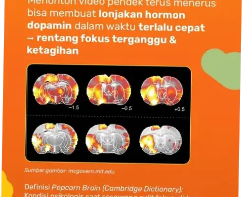 Nonton Video: Dampak dan Alternatif di Era Digital