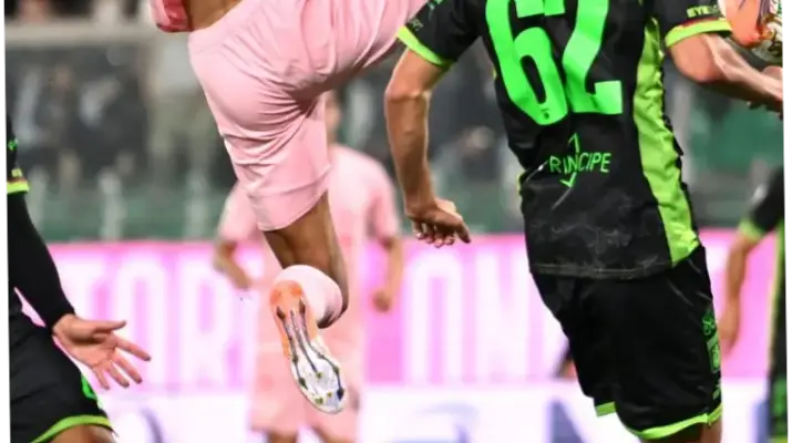 Palermo vs Catanzaro: Pertarungan Sengit di Serie B Italia