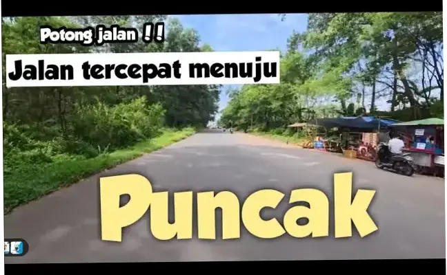 Zed FC: Perjalanan Menuju Puncak Sepak Bola Mesir