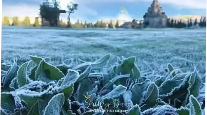 Cuaca Ekstrem di Dieng: Fenomena Embun Beku dan Dampaknya