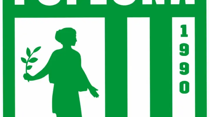 Flora Tallinn: Tim Sepak Bola Estonia yang Mengalami Perjalanan Menarik
