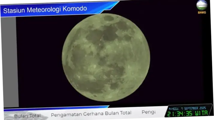 Live Draw: Fenomena yang Menghubungkan Jutaan Orang di Seluruh Dunia